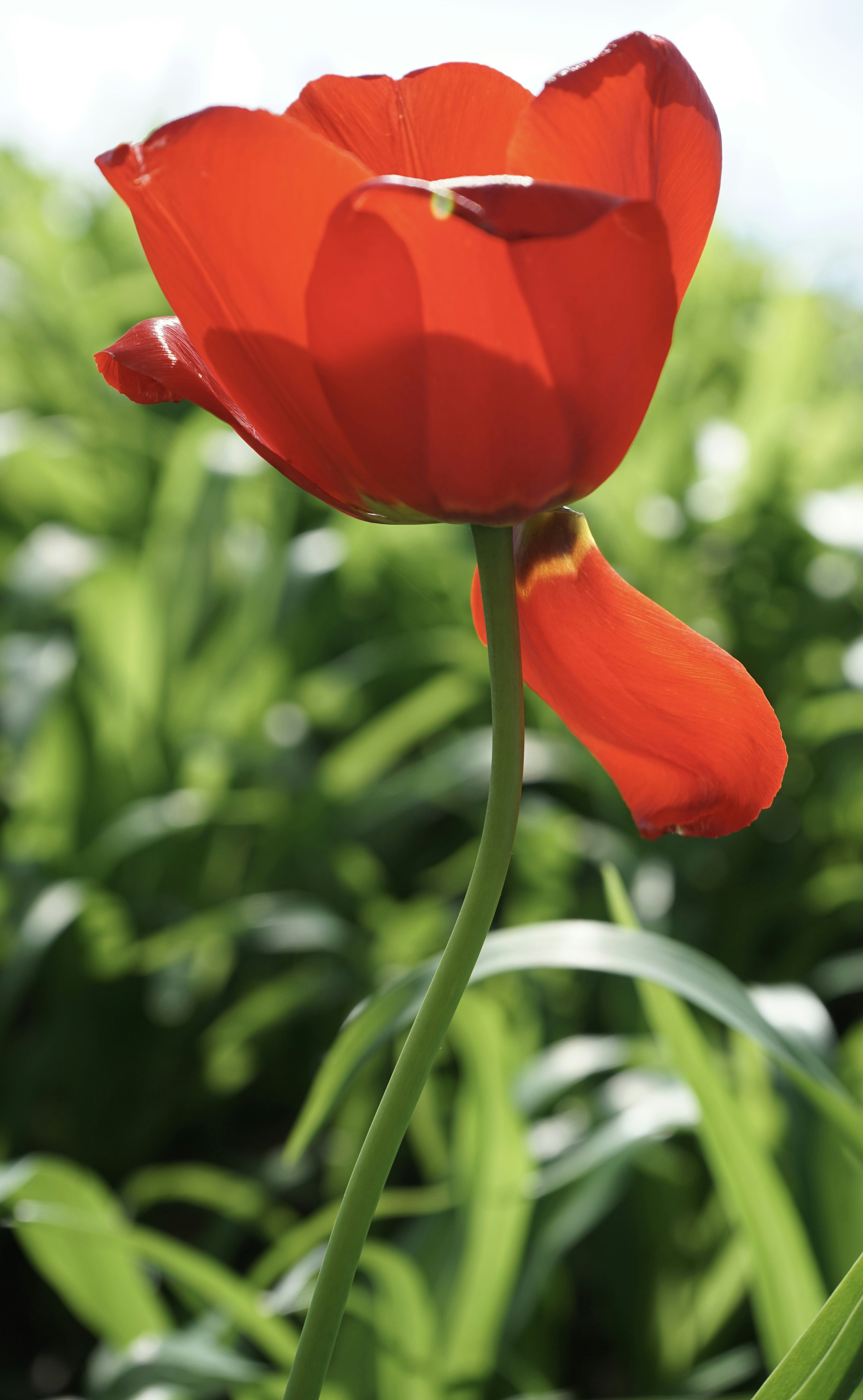 Photo by hannahslensphotography