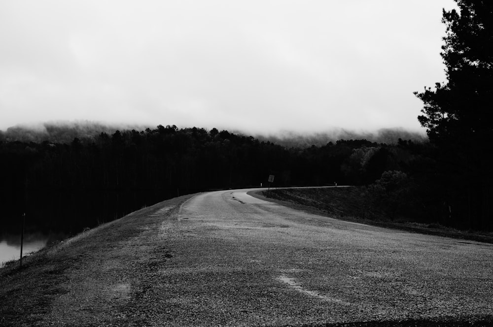 a black and white photo of a road and trees