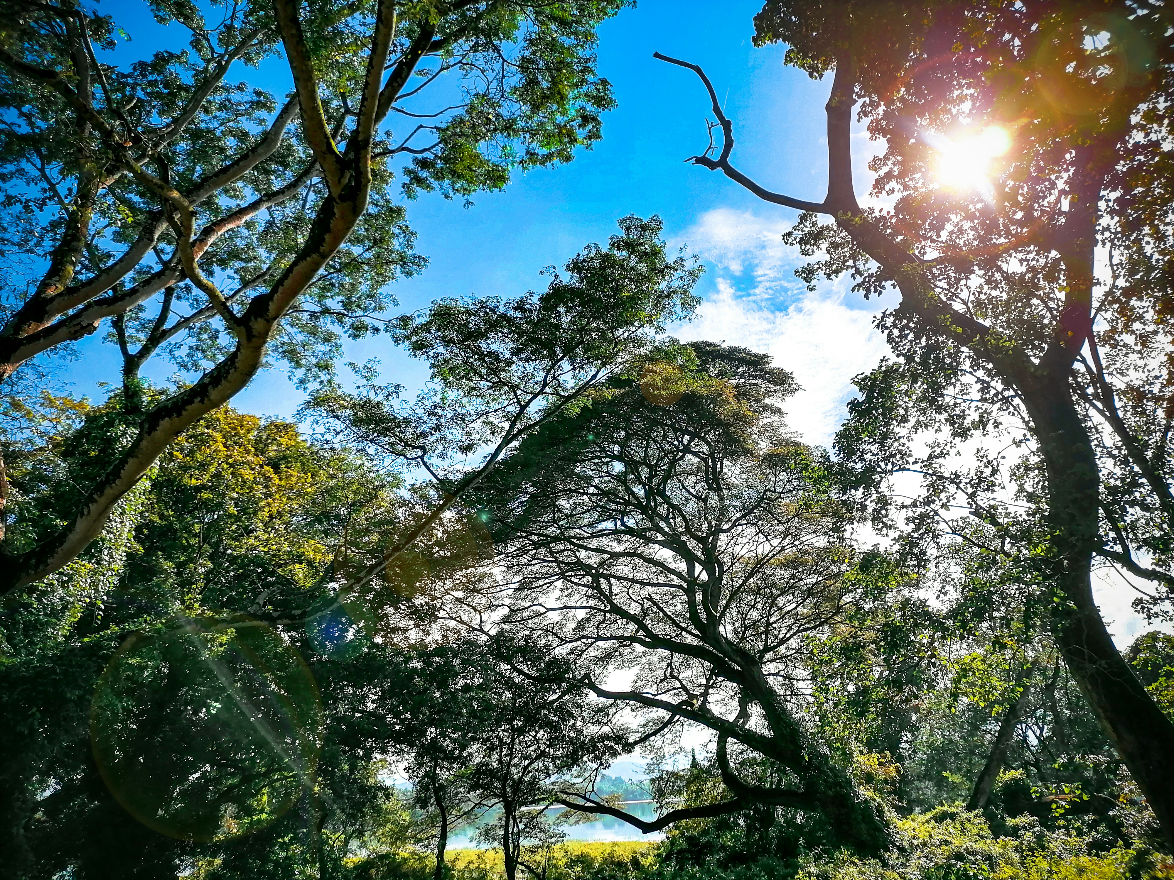 Kurunegala, Sri Lanka - Let's see the art of mother nature