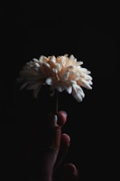 Hand holding a delicate crochet flower motif in soft pastel yarns.