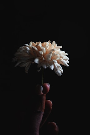 Hand holding a delicate crochet flower in progress with soft natural light.