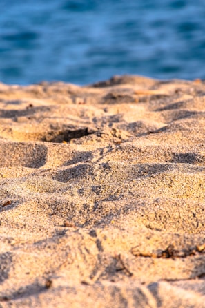 Close-up of a can filled with golden sand from a sunny tropical beach.