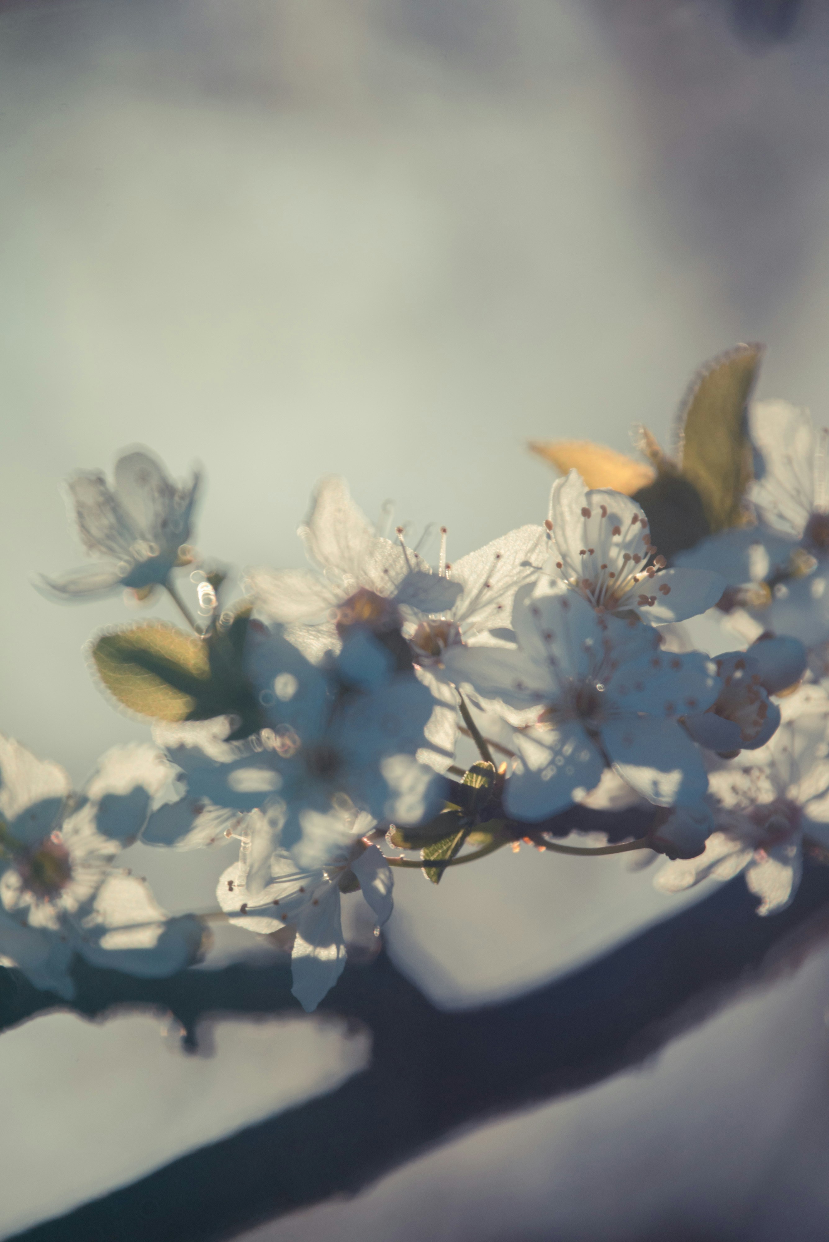 Photo by ptognoni