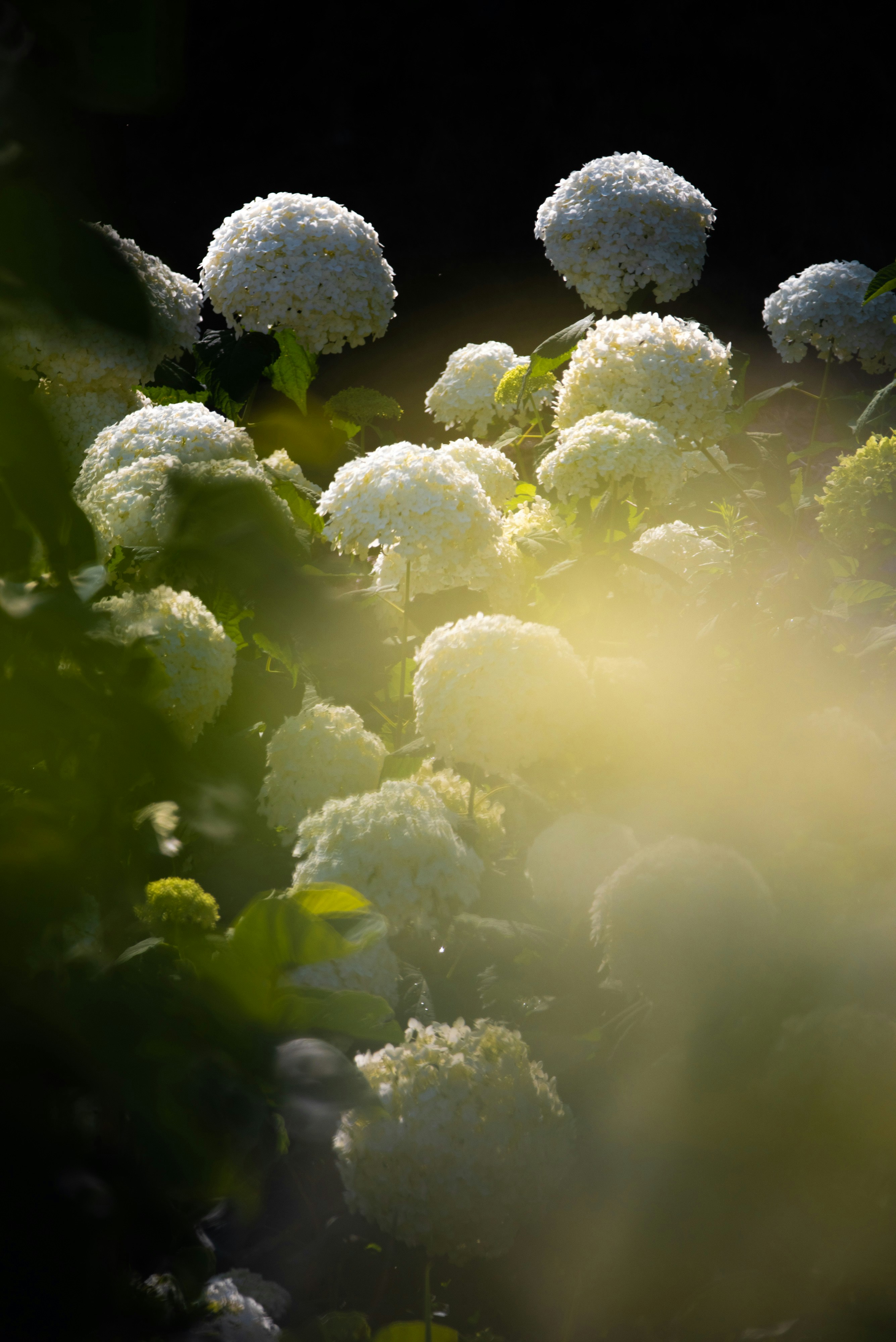 Photo by ptognoni