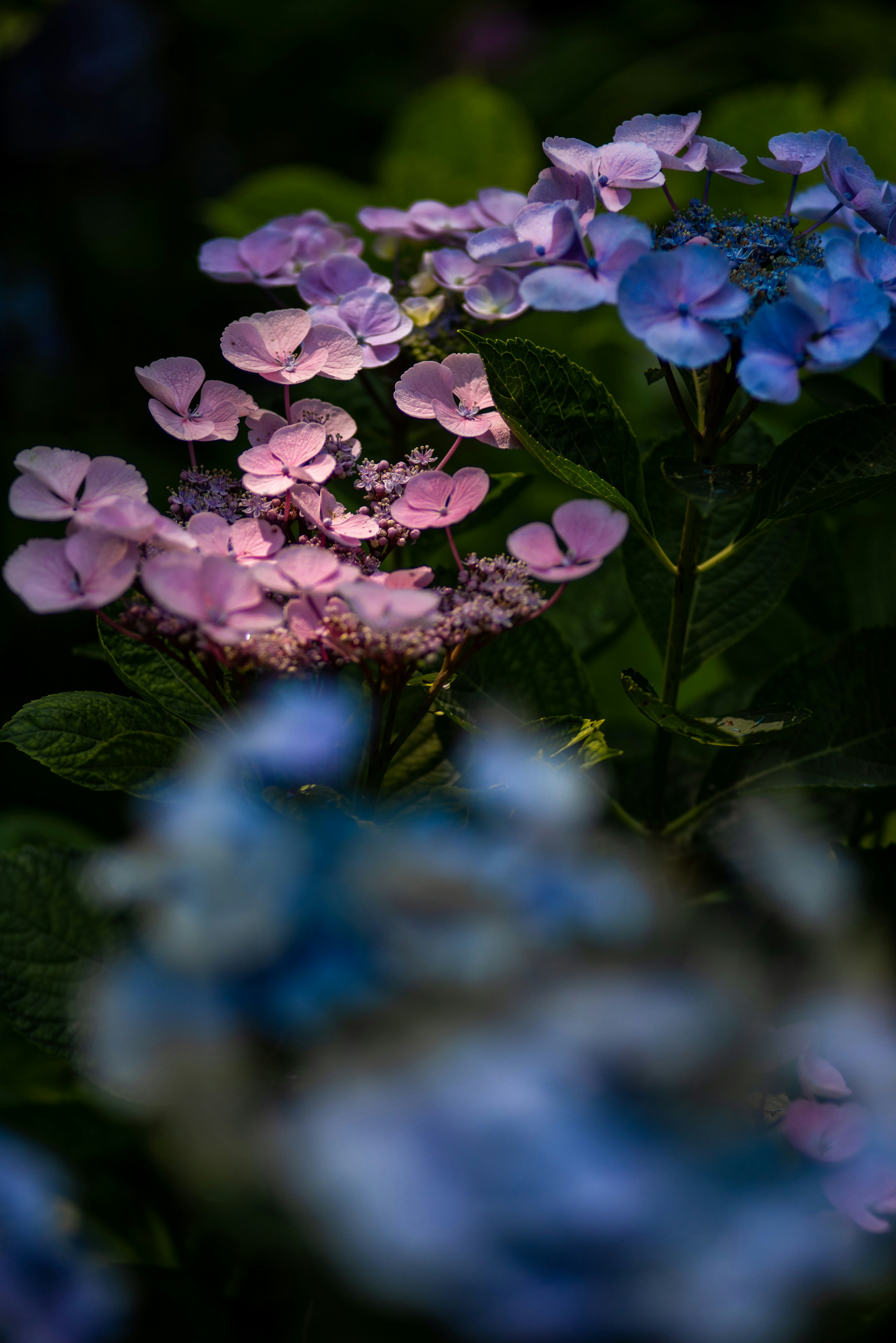 Photo by ptognoni