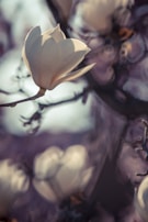 A refined sculpture of a single magnolia flower in soft taupe hues, resting gracefully on a smooth base.