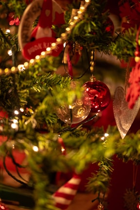 Festive Christmas tree decorations hanging on a lush green tree with soft lights.