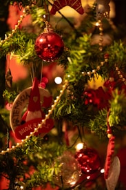 A festive Christmas tree adorned with various ornaments, including red baubles, a gnome-shaped decoration, and string lights. Greenery from the tree branches is lush and interspersed with sparkling golden bead garlands.