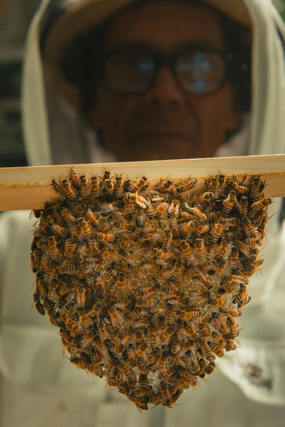 a man in a bee suit holding a frame with a bunch of bees on it