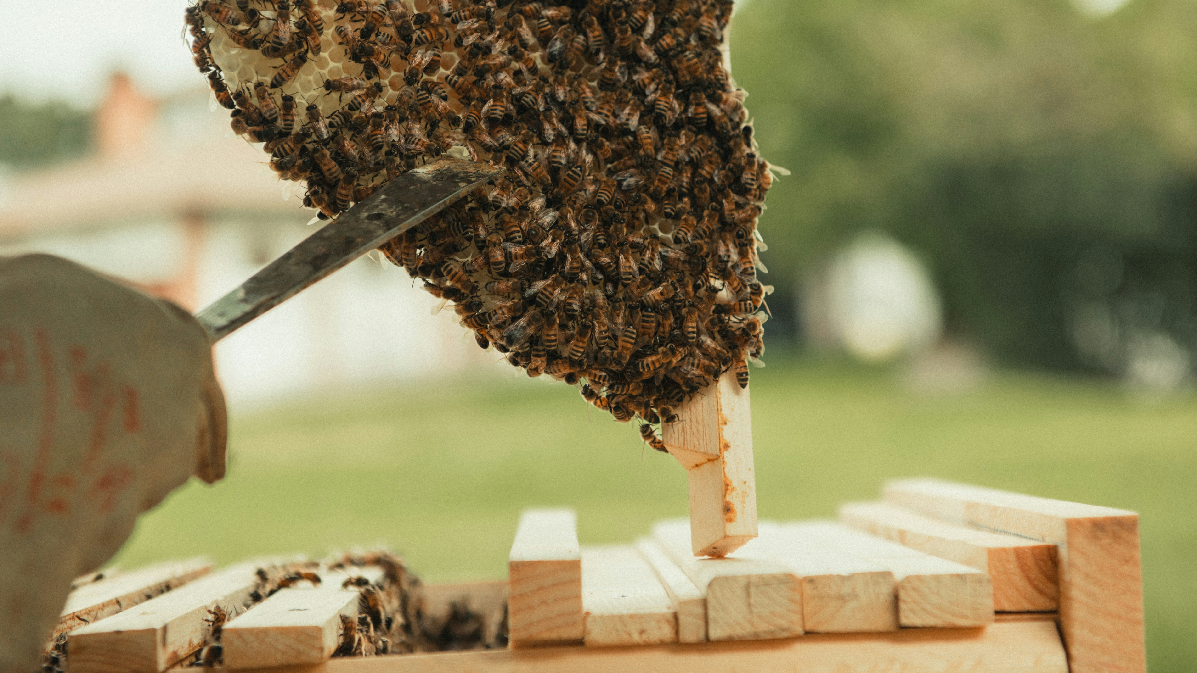 Mejores 30 empresas para integración de API para sistemas heredados en Granada