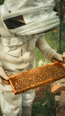 a man in a bee suit holding a beehive