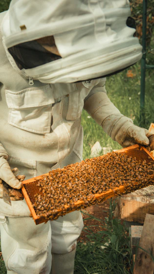 a man in a bee suit holding a beehive