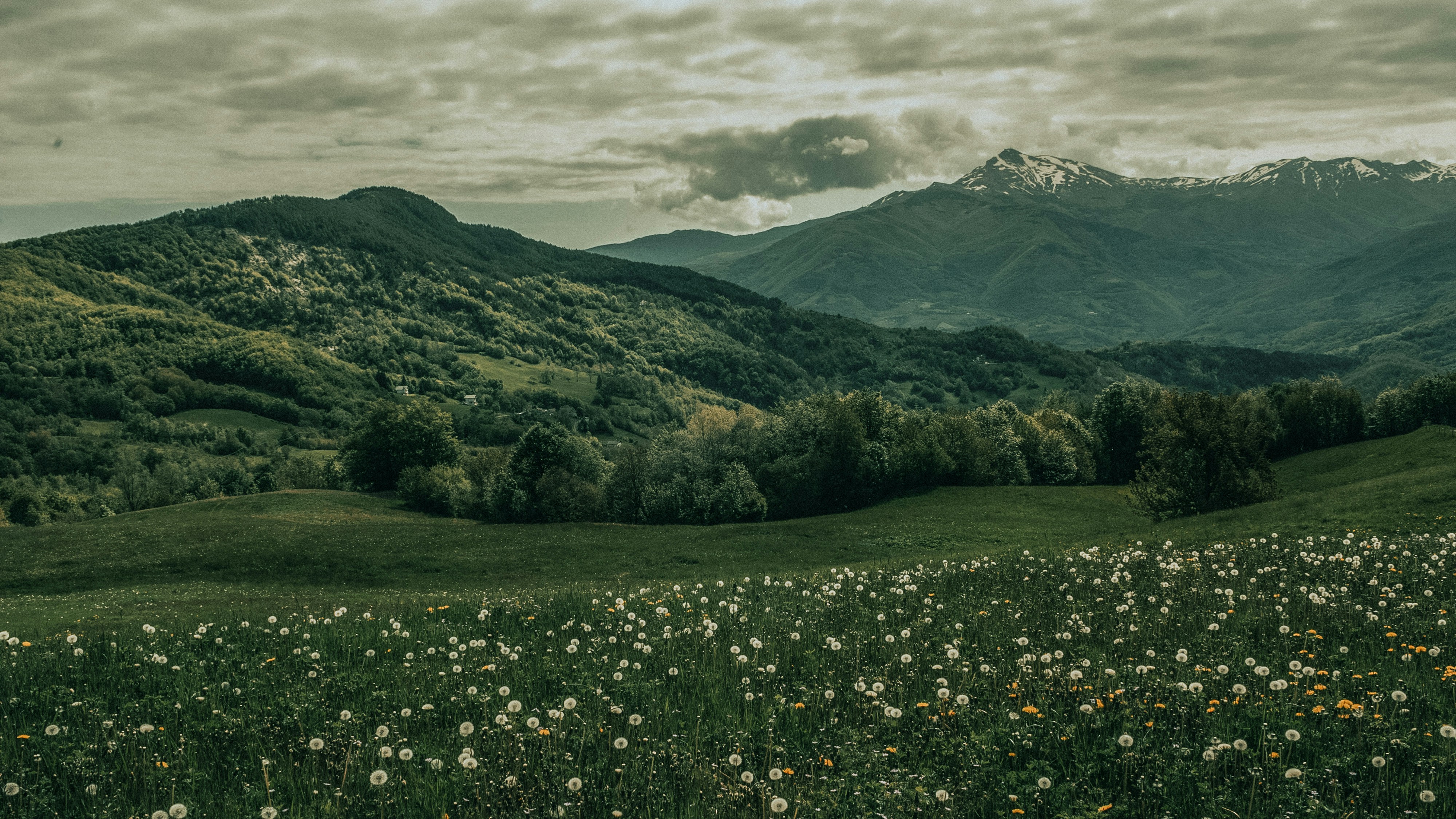 Photo by ptognoni
