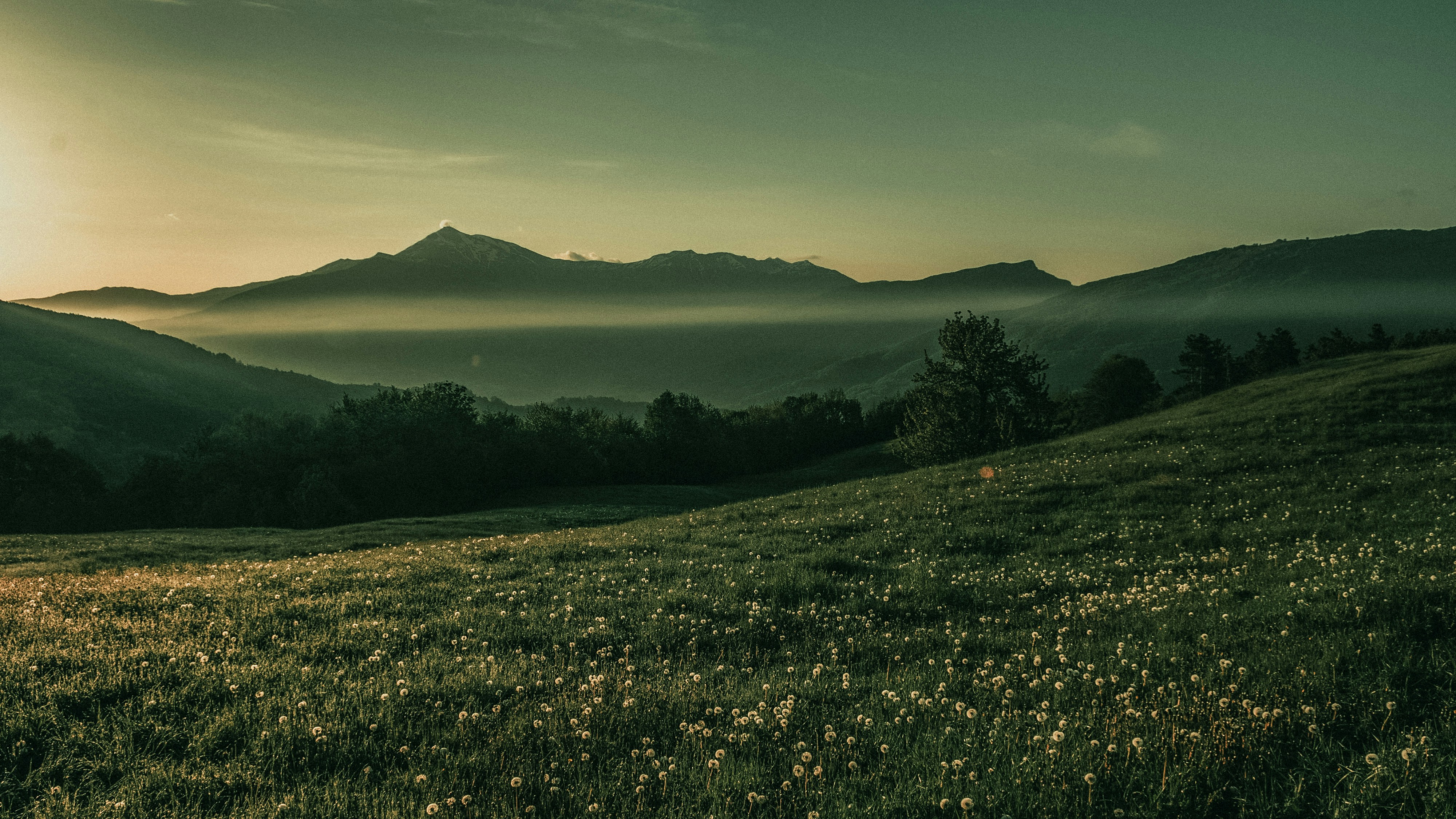 Photo by ptognoni