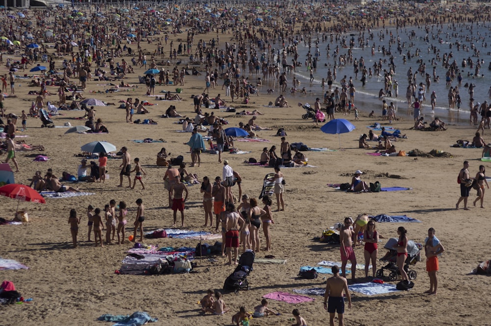 a large group of people on a beach