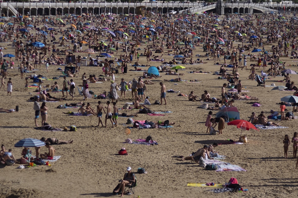 a large crowd of people on a beach