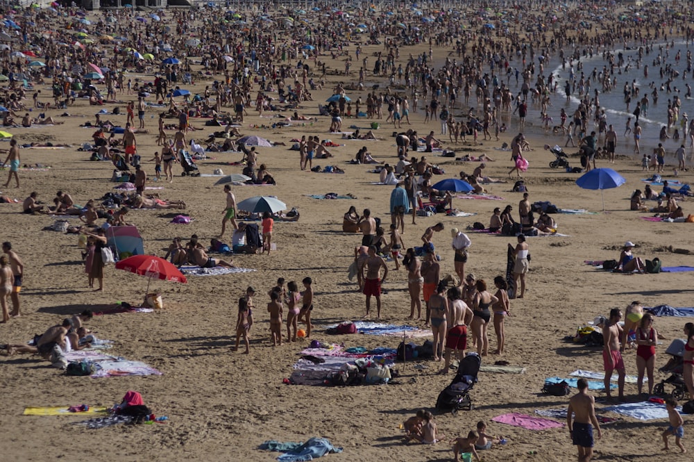 a large group of people on a beach