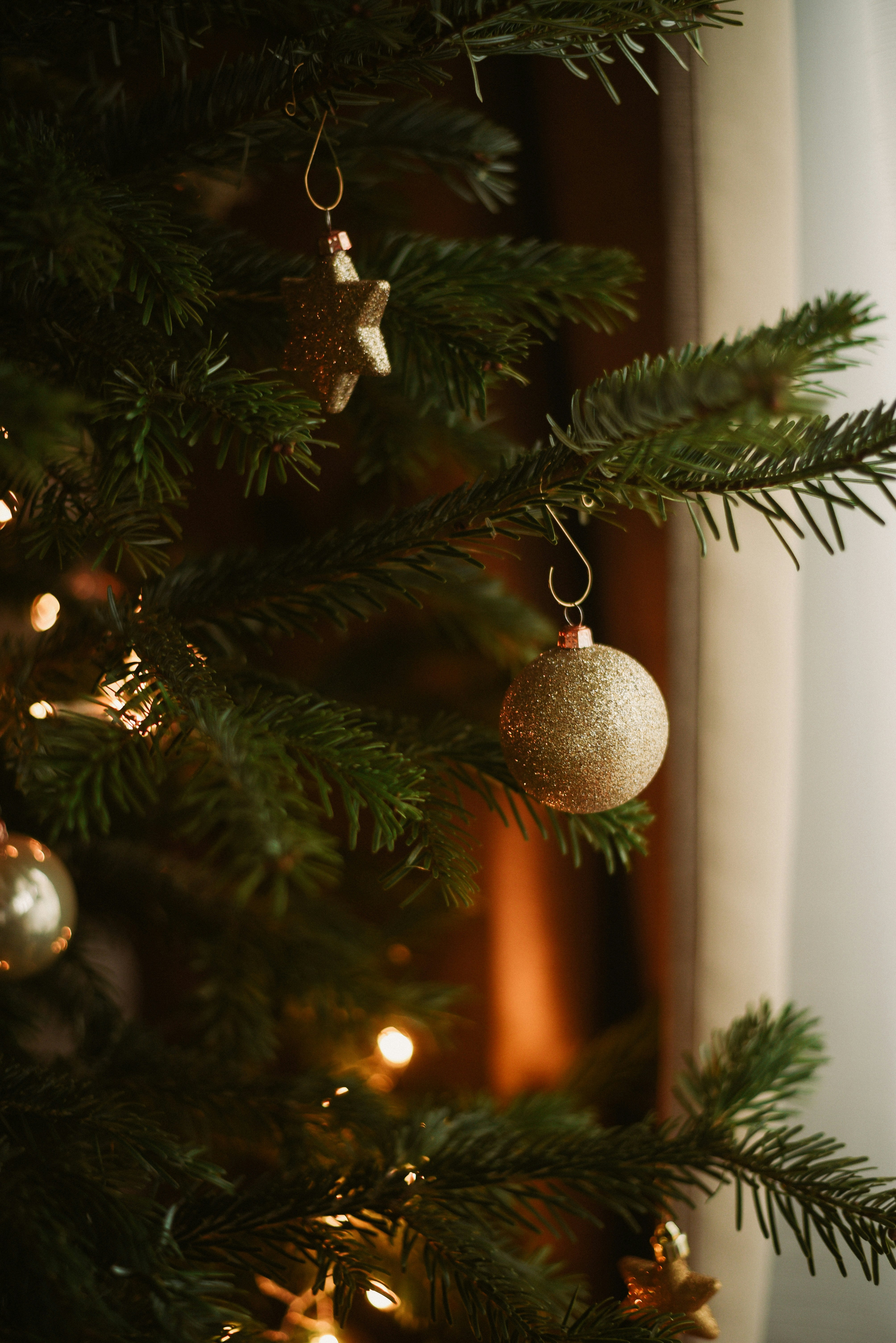 Photo by krykhitka_photo