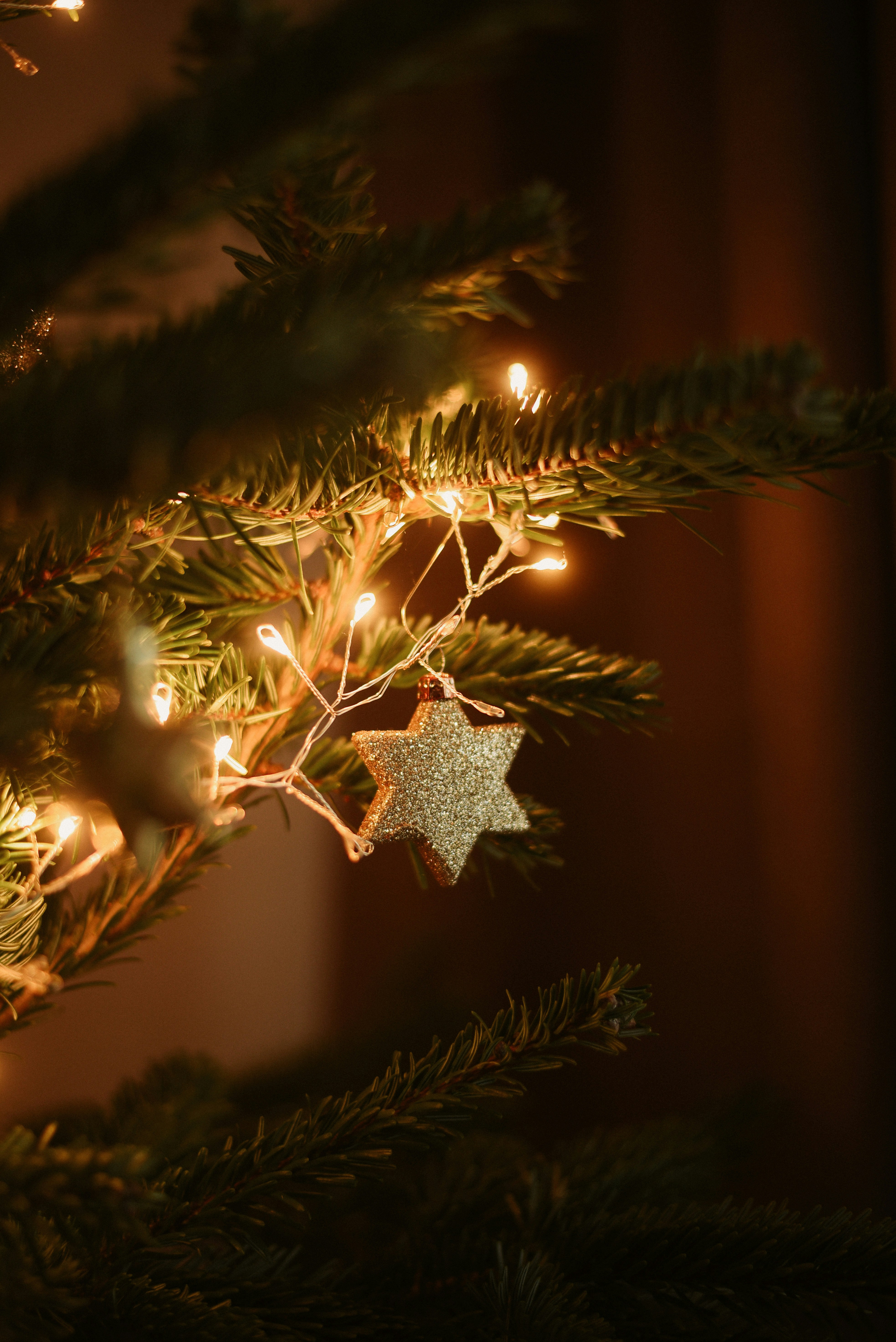 Photo by krykhitka_photo