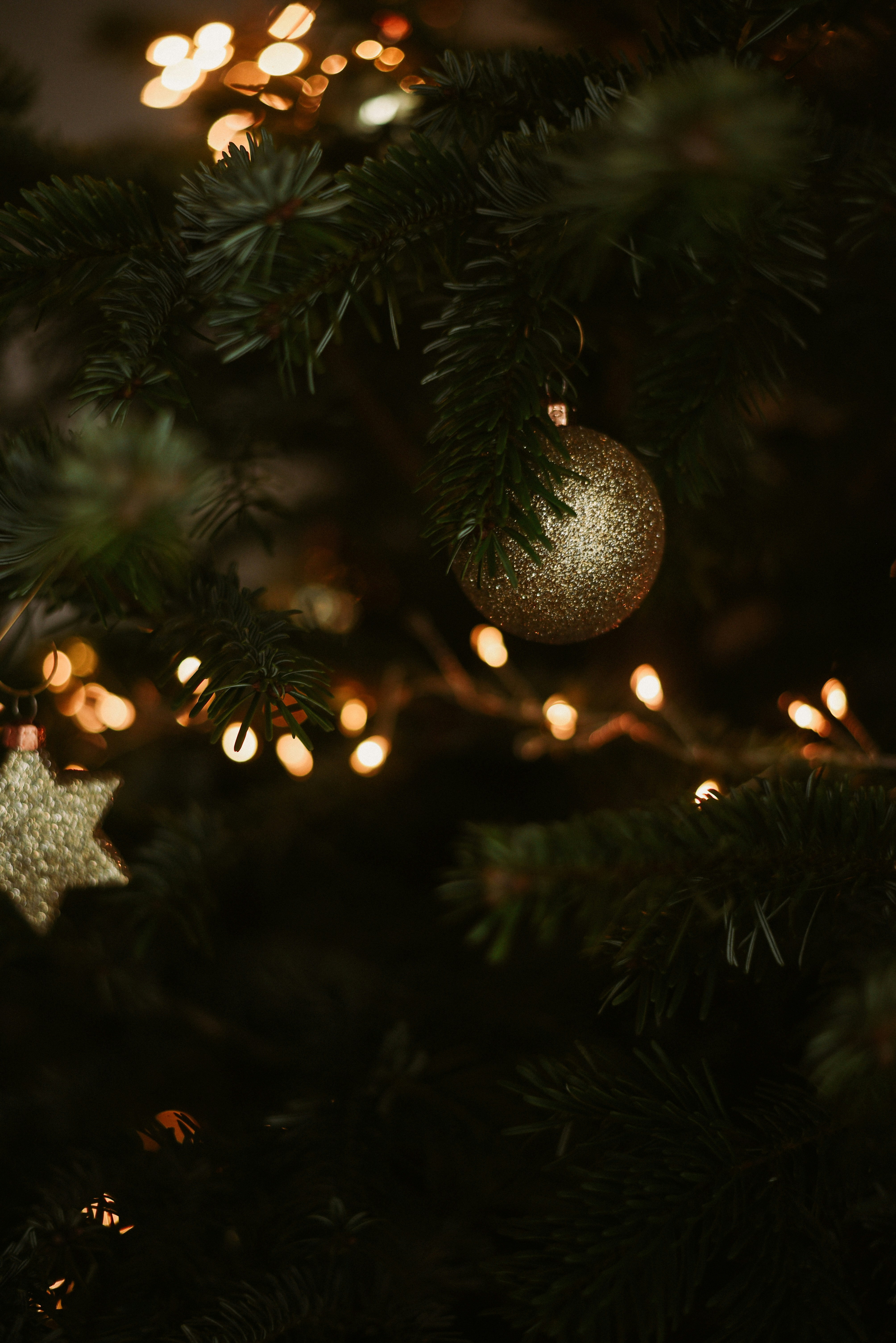 Photo by krykhitka_photo