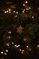 Child hanging a star ornament near the tree topper, smiling with excitement.