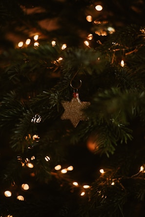 Child hanging a star ornament near the tree topper, smiling with excitement.