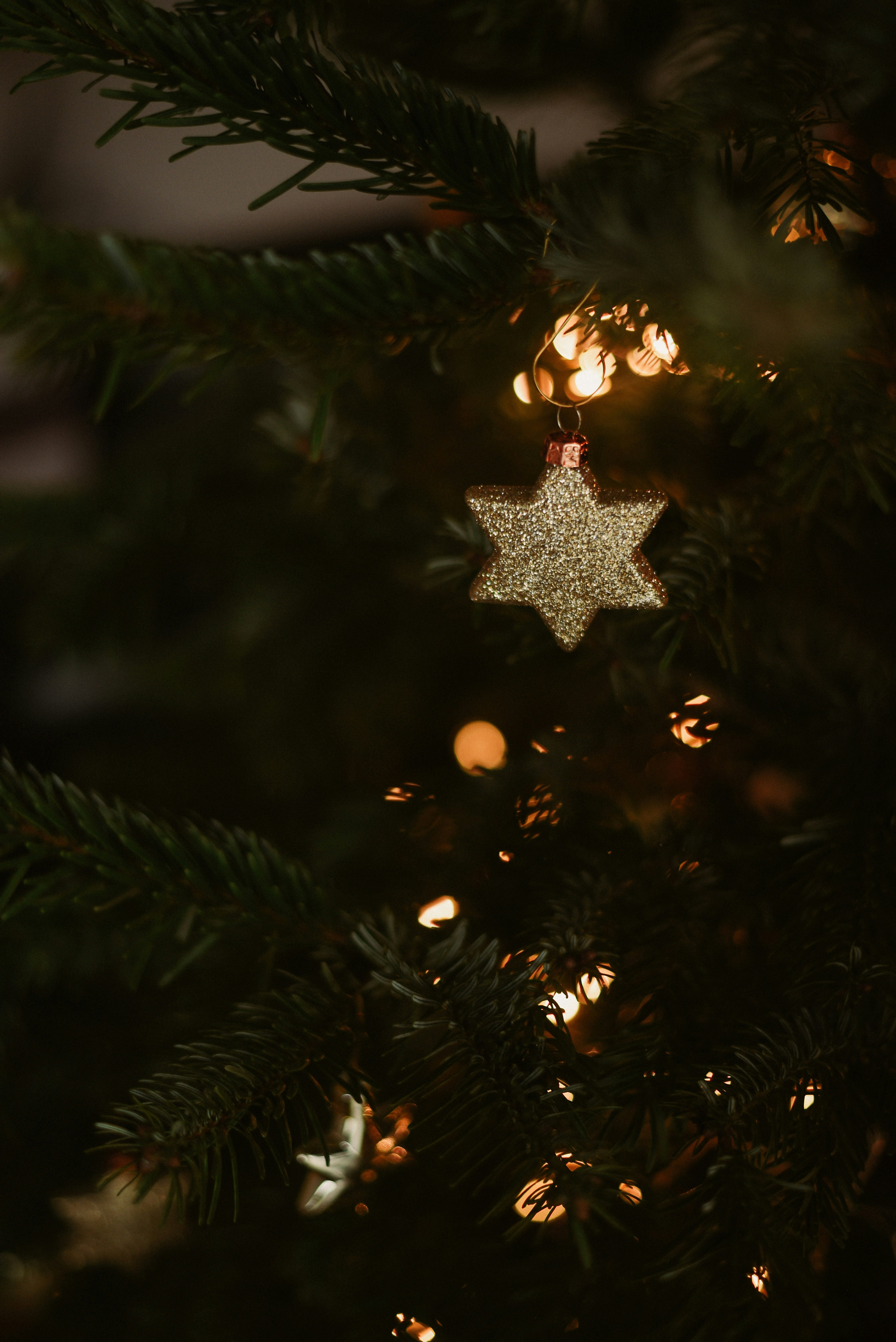 Photo by krykhitka_photo