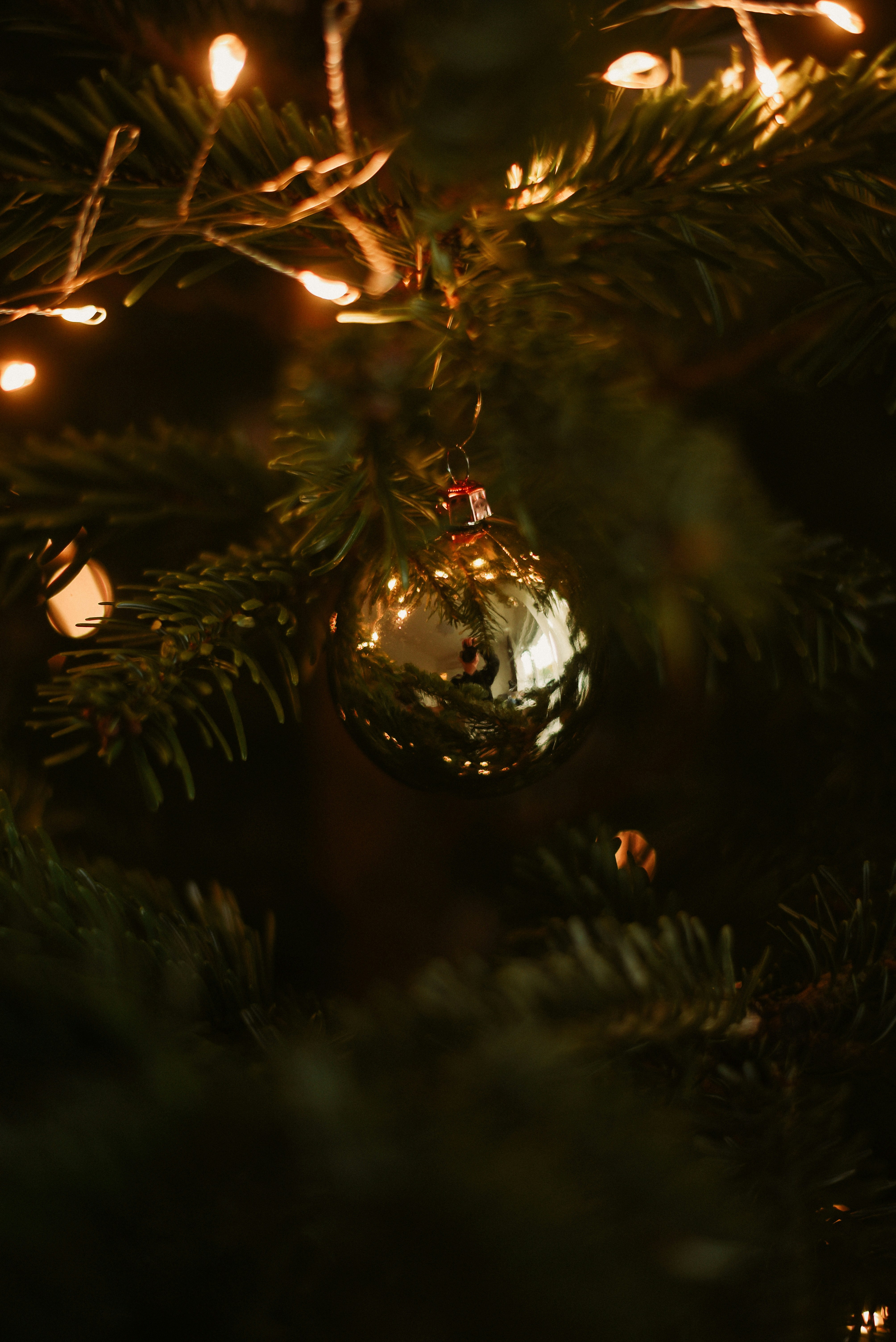 Photo by krykhitka_photo