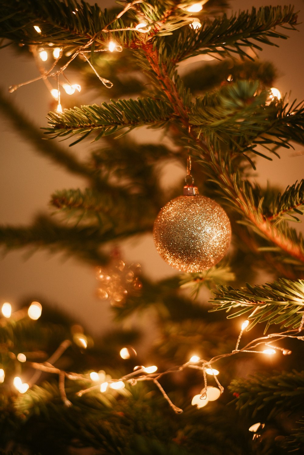 a close up of a christmas tree with lights