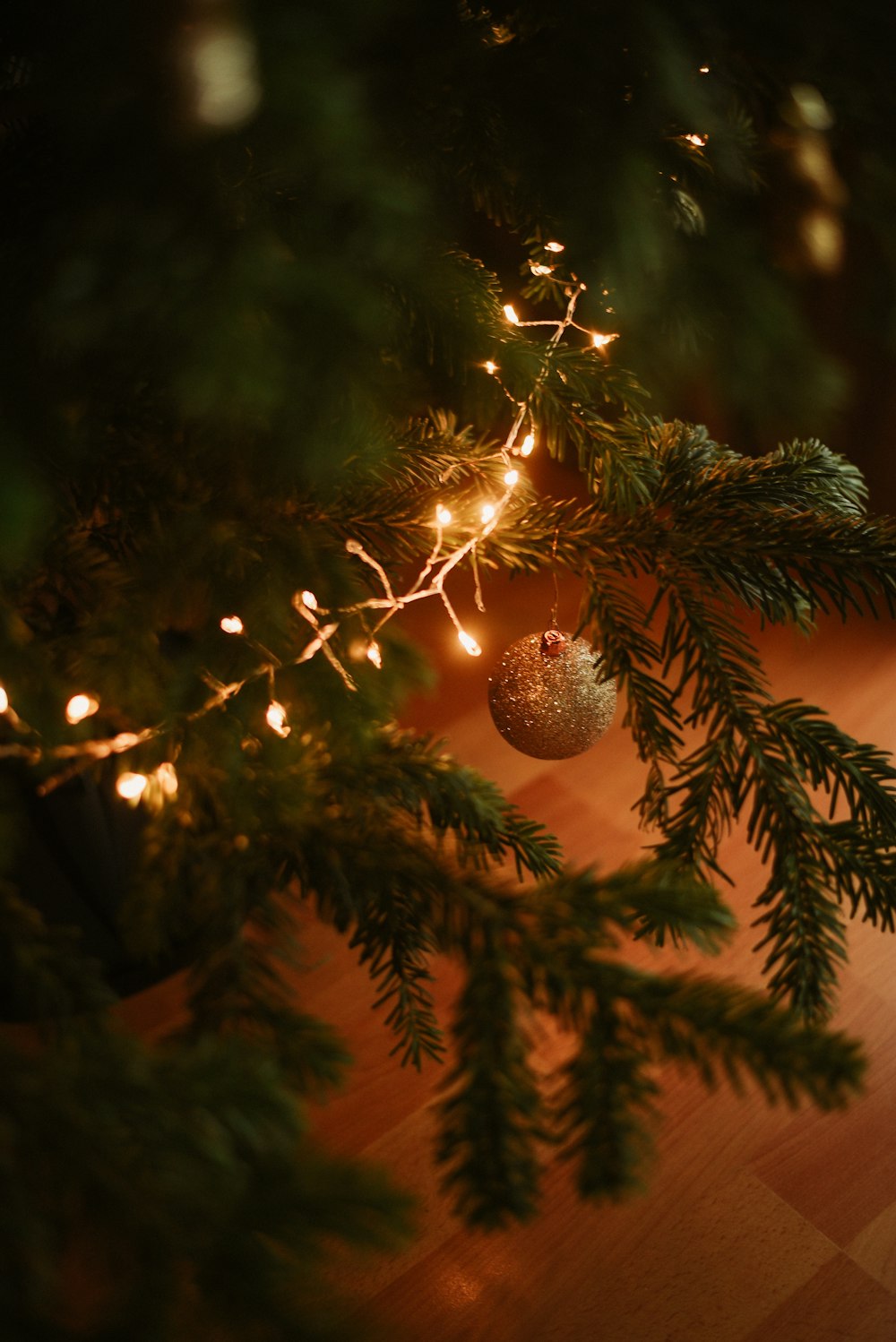 a christmas ornament hanging from a tree