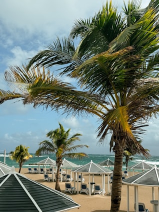 A sunlit beachfront villa with palm trees swaying gently in the breeze.