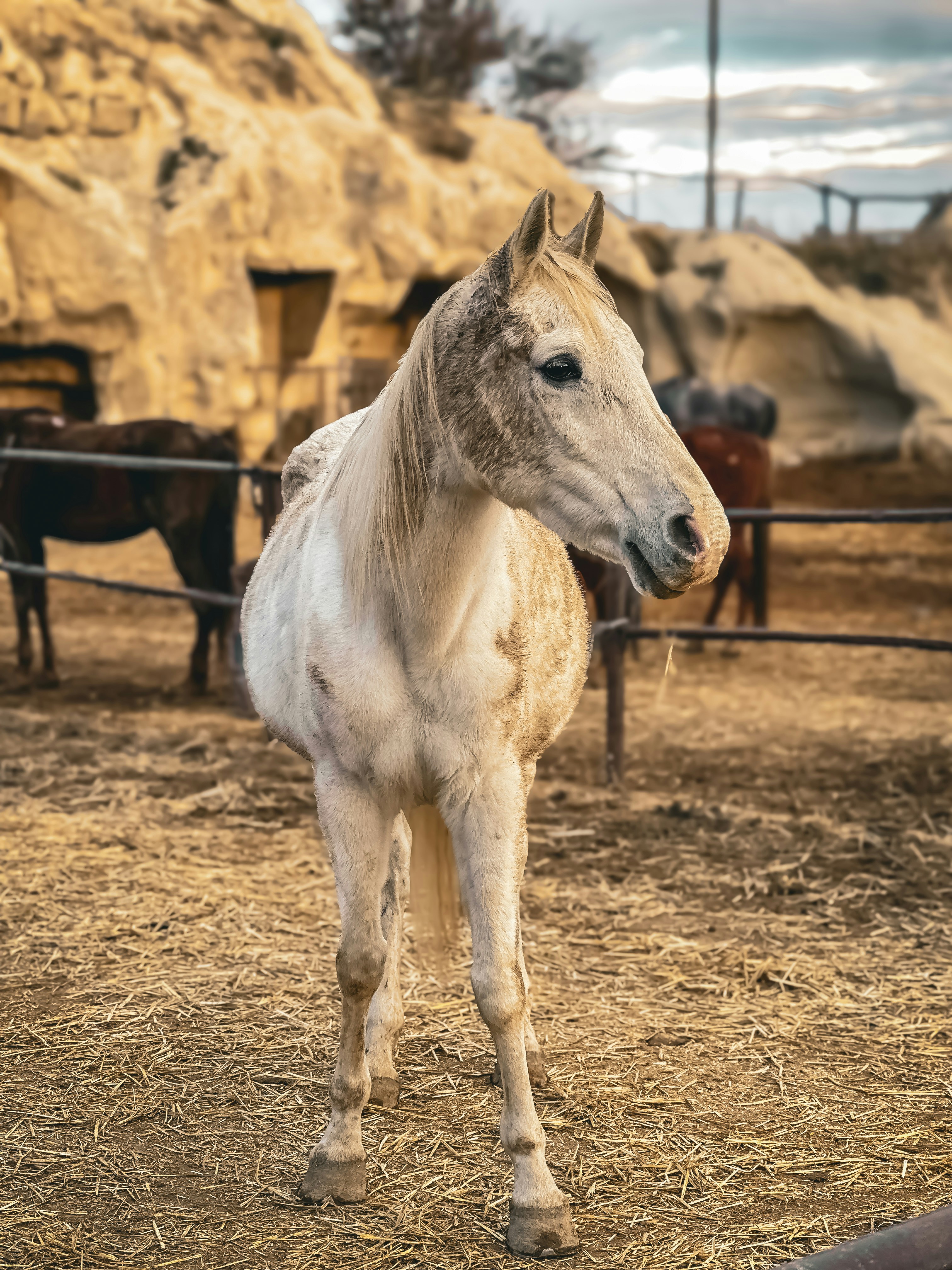 Photo by gamzeteoman