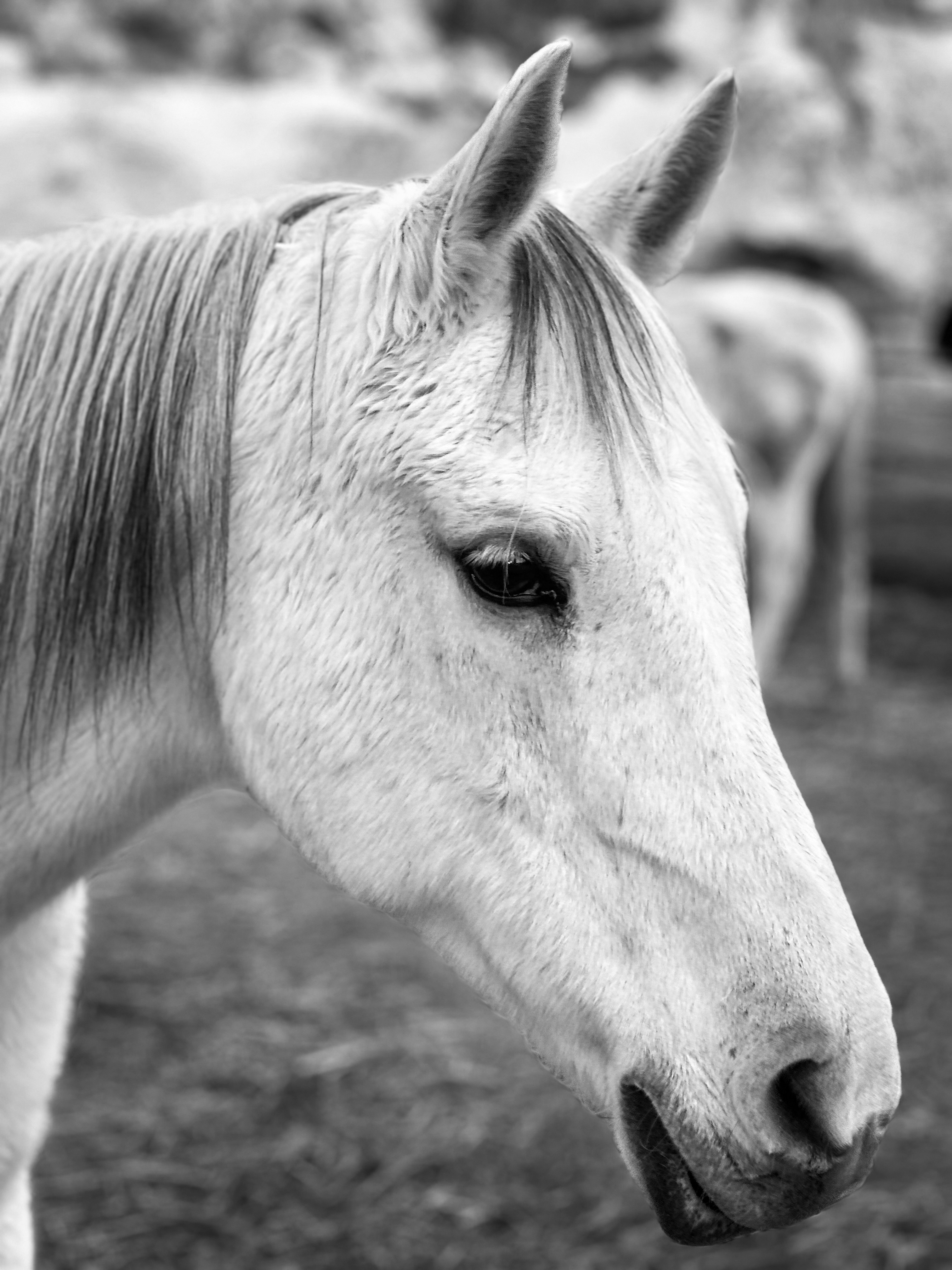 Photo by gamzeteoman