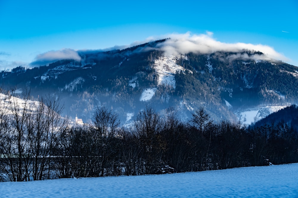 a mountain covered in snow and clouds with trees in the foreground