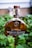 A bottle of Woodford Reserve Kentucky Straight Bourbon Whiskey is centered among green foliage. The bottle is a distinctive shape with a wooden cork, and the label is clearly visible. The background is blurred, drawing focus to the bottle.