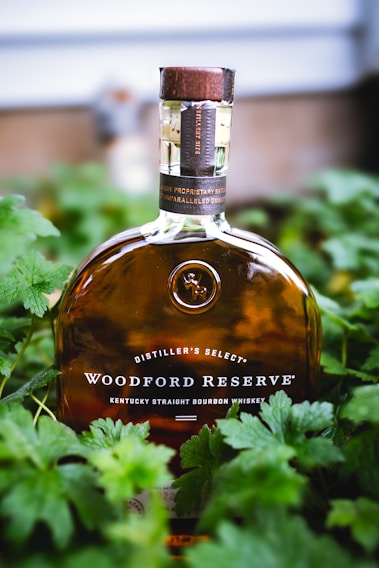 A bottle of Woodford Reserve Kentucky Straight Bourbon Whiskey is centered among green foliage. The bottle is a distinctive shape with a wooden cork, and the label is clearly visible. The background is blurred, drawing focus to the bottle.