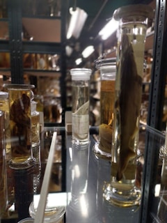 Several glass containers filled with liquid, each containing preserved specimens, are arranged on shelving in a dimly lit storage area. The specimens appear to be different marine or biological samples. The lighting creates reflections and a somewhat clinical atmosphere.