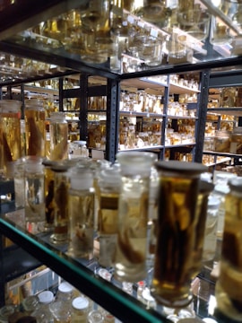 Glass jars filled with preserved specimens are arranged on metal shelves. The liquid inside the jars gives off a golden hue, and the shelving unit is reflected in a mirrored surface, creating a sense of depth and repetition.