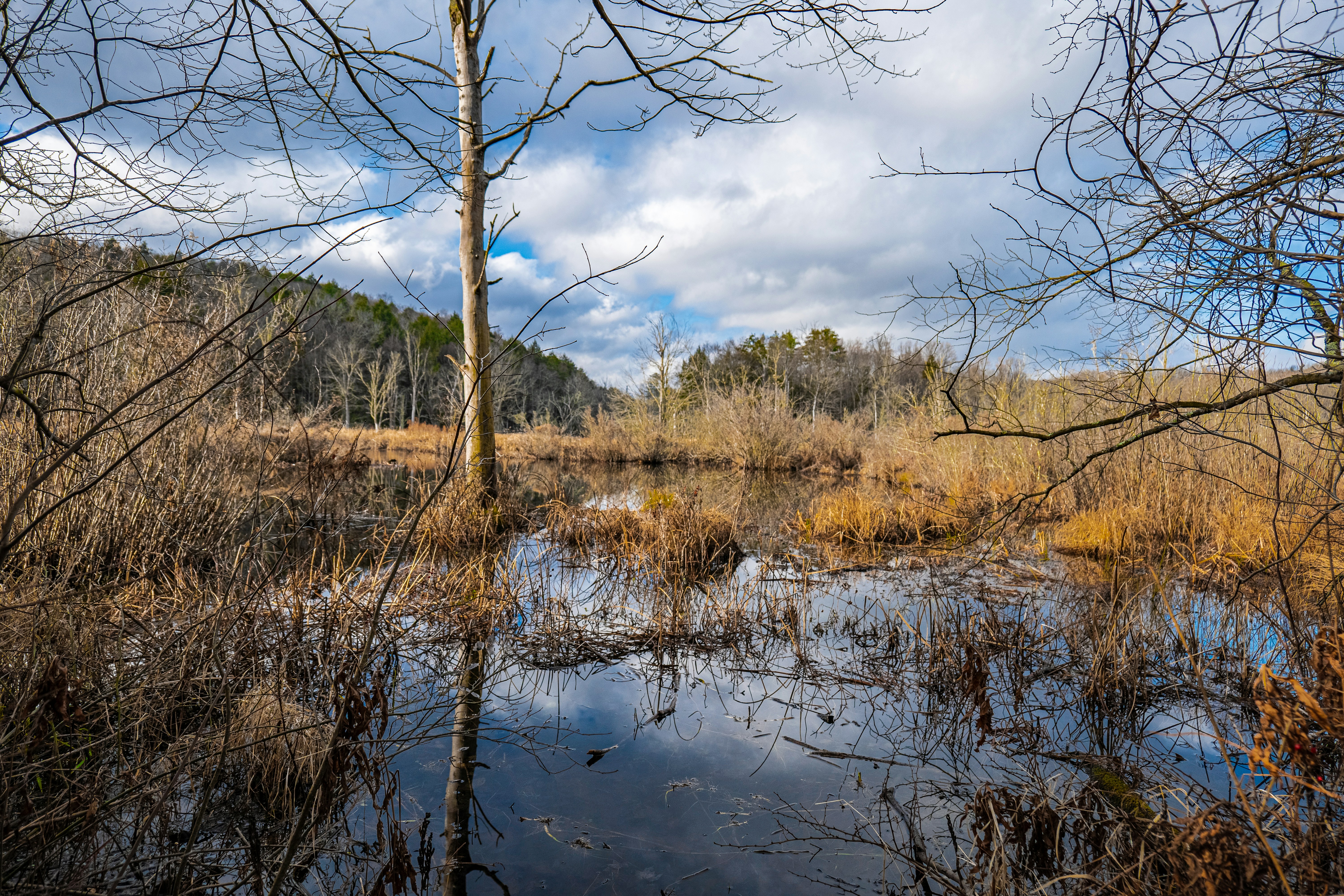 Photo by lunarimaginations