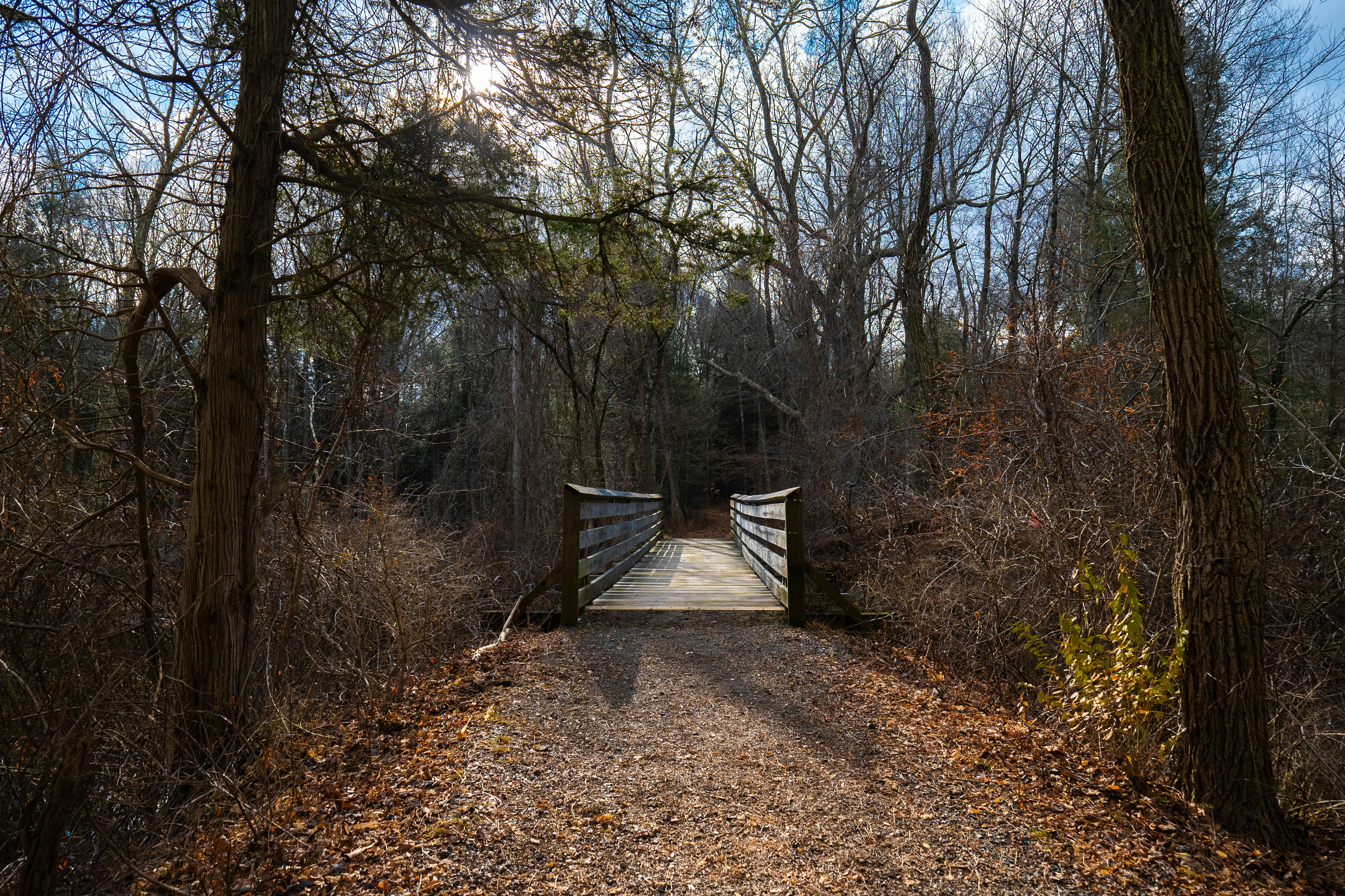 Photo by lunarimaginations