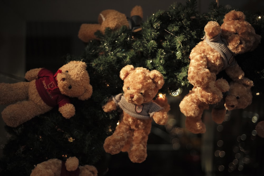 a group of teddy bears hanging from a christmas tree