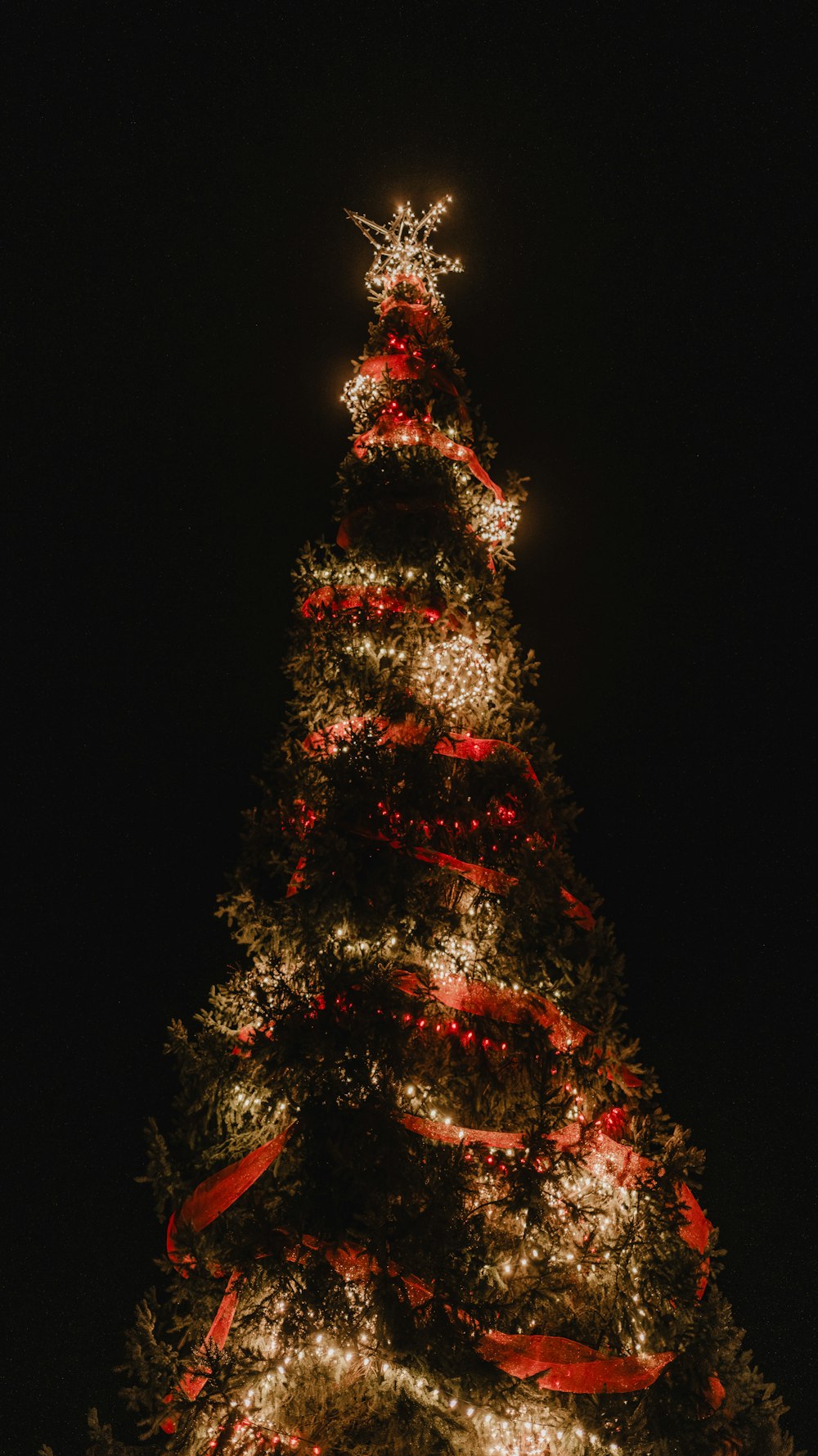 a lit christmas tree with a red ribbon around it