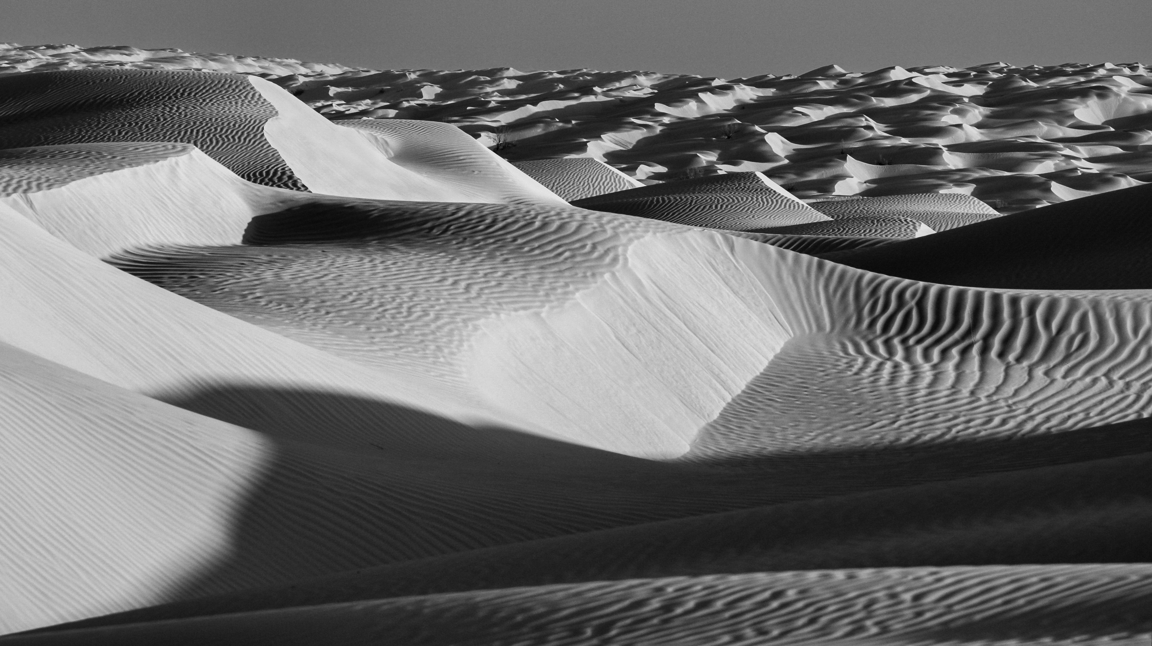 Ein Schwarz-Weiß-Foto von Sanddünen