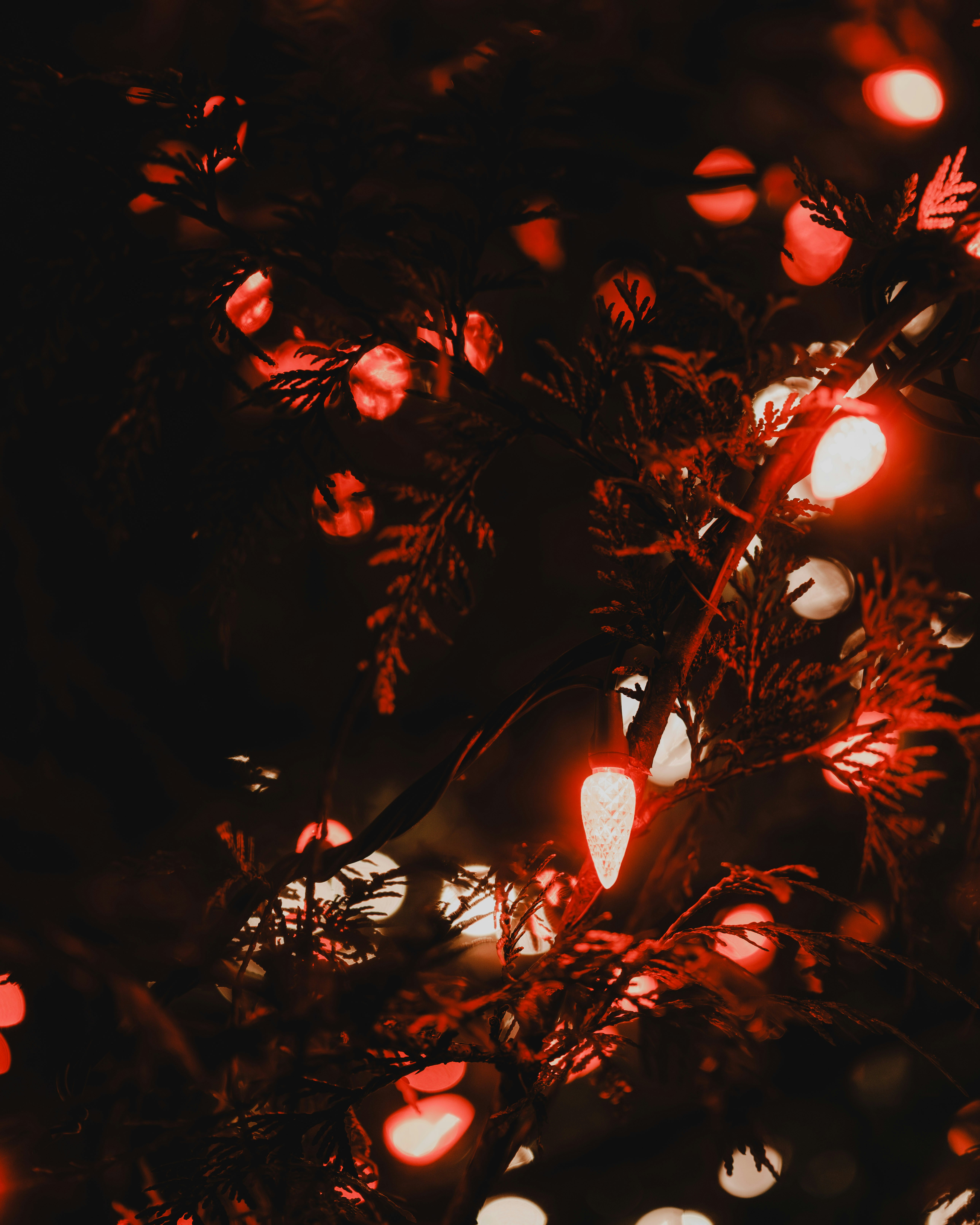 Photo by pixelatelier