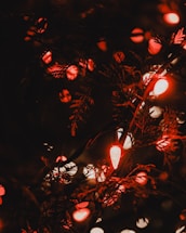 A warm and inviting holiday lighting display showcasing elegant LED lights.