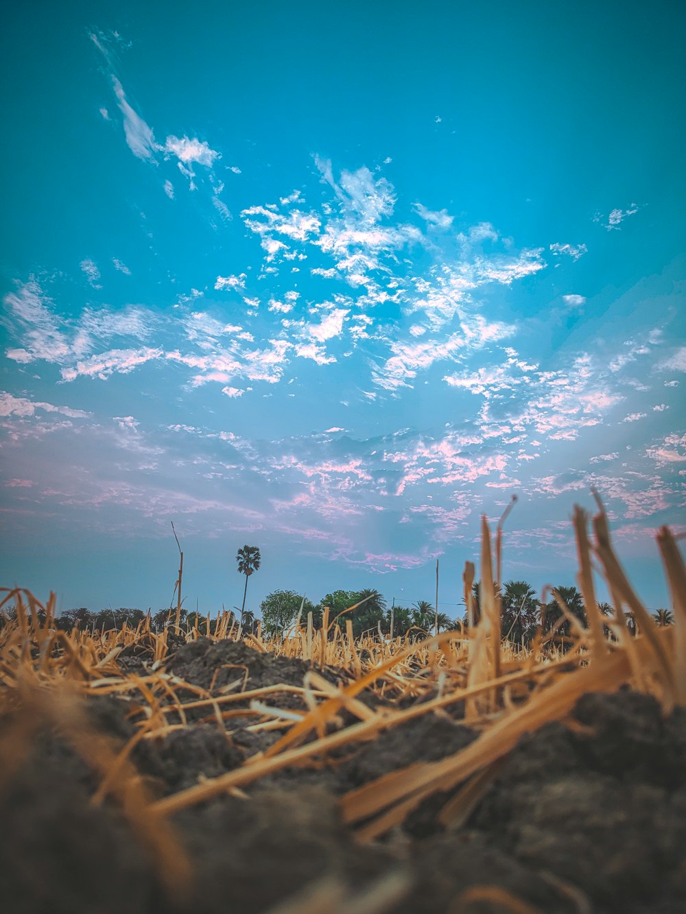 a blue sky with a few clouds over a field