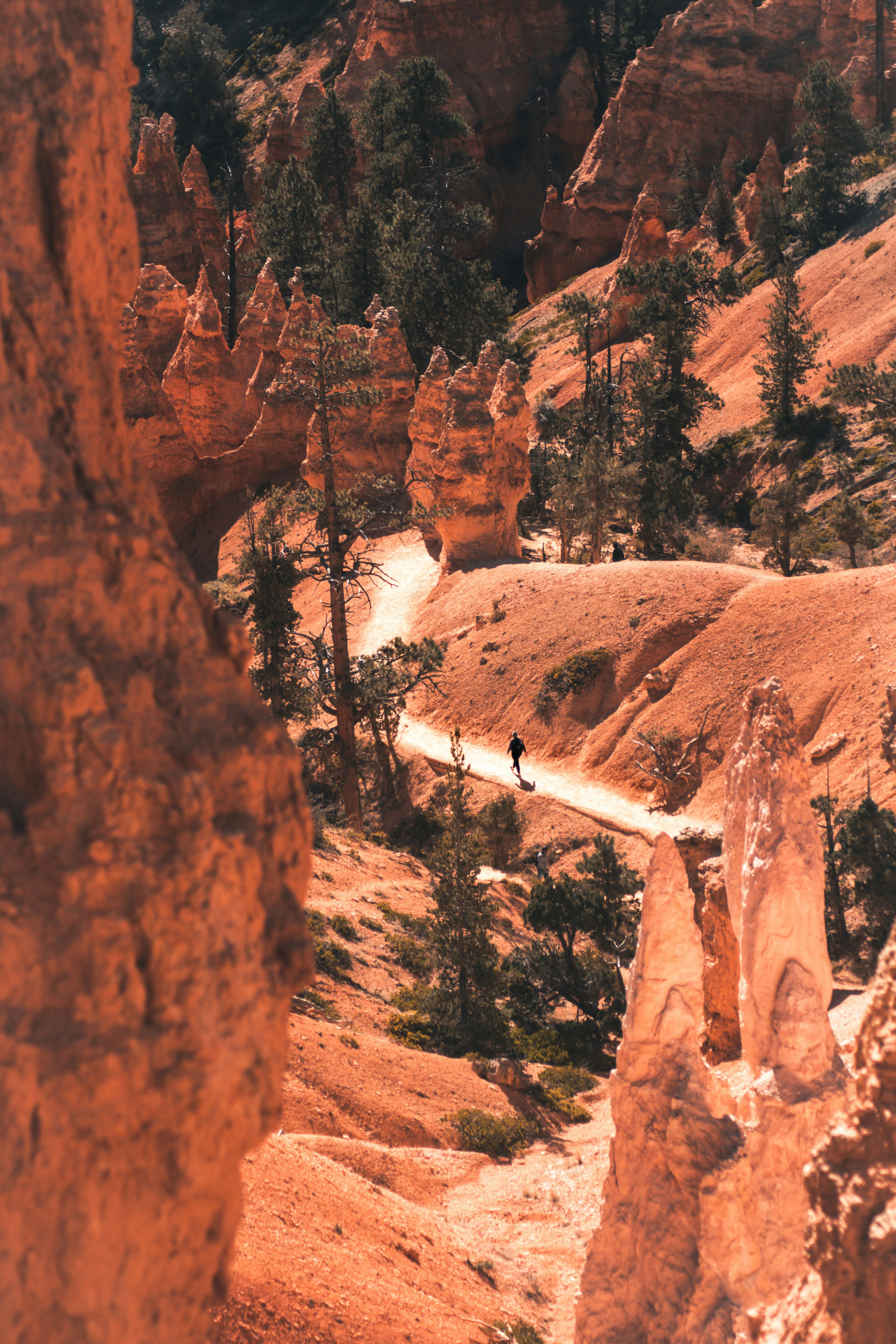 Eine Person wandert durch eine Schlucht in den Bergen
