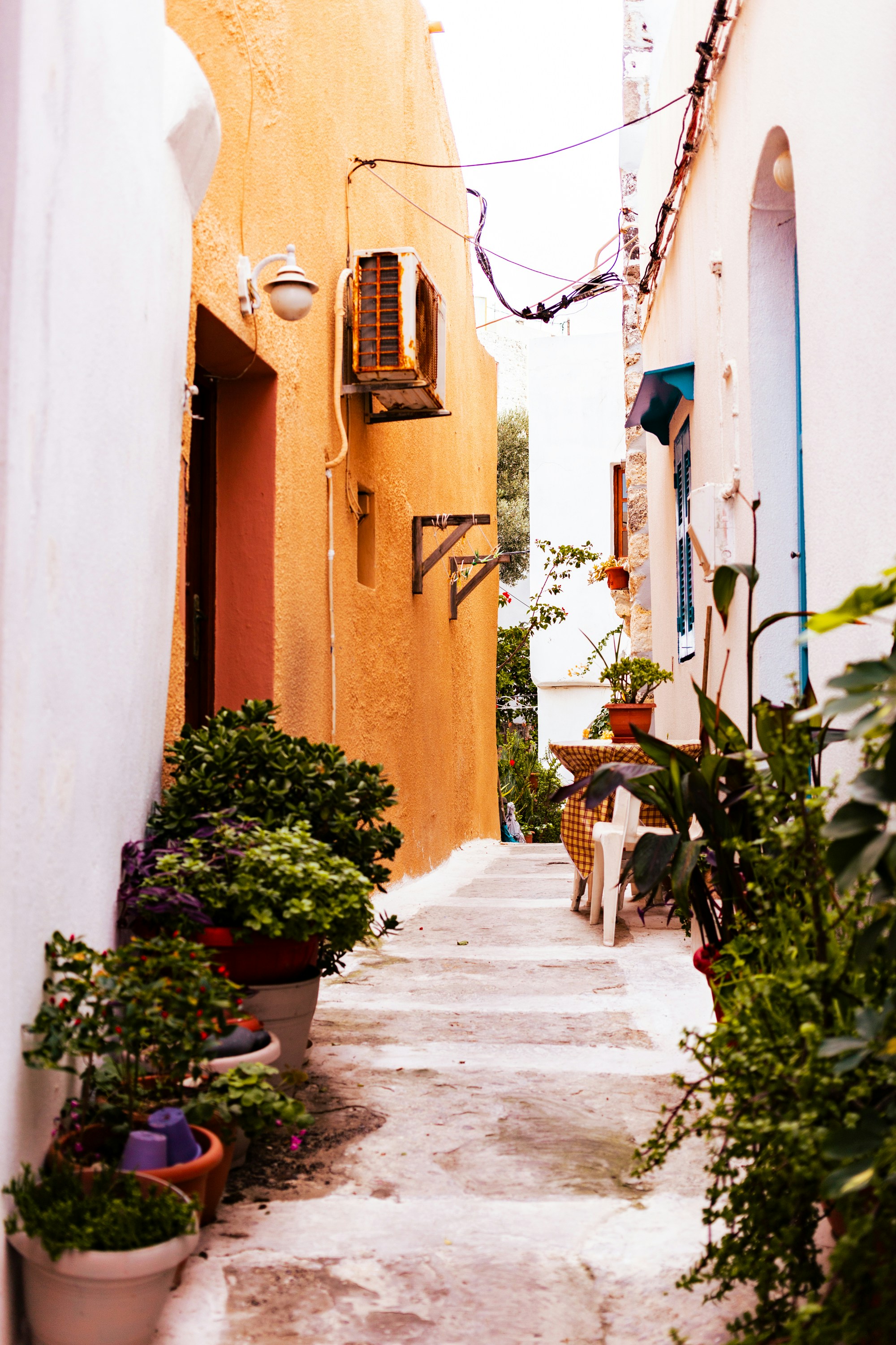 Photo by kirkphotographer