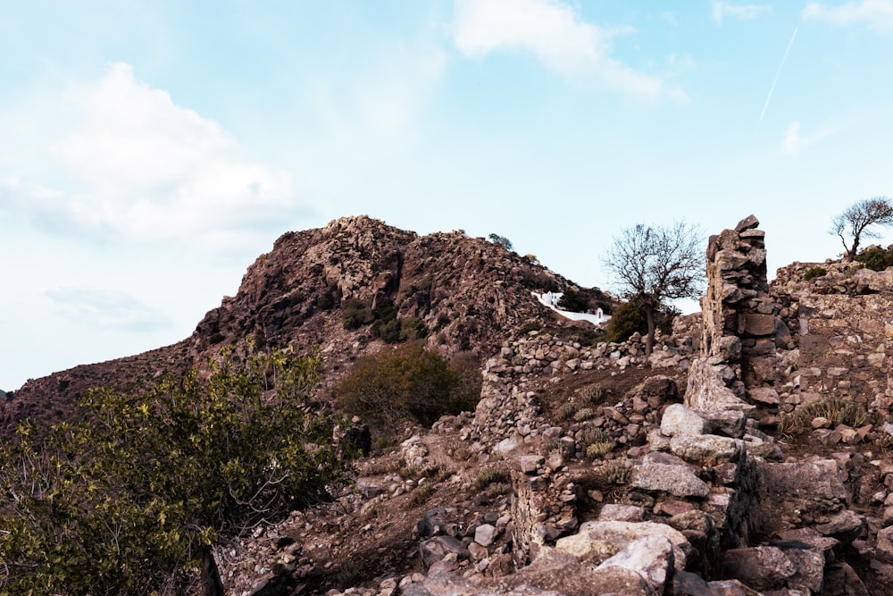 una montaña rocosa con algunos árboles en la cima