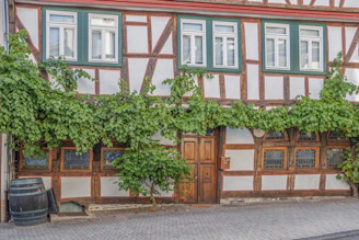 A cozy Airbnb rental in Troyes with charming half-timbered architecture visible outside the window.